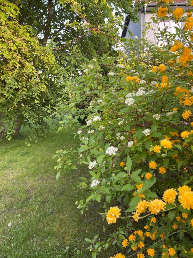 Gawramaszki - Agroturystyka - Komfortowe Pokoje Z Lazienkami I Aneksami Kuchennymi Węgorzewo Exterior foto