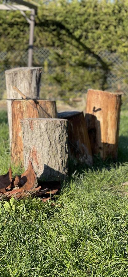 Gawramaszki - Agroturystyka - Komfortowe Pokoje Z Lazienkami I Aneksami Kuchennymi Węgorzewo Exterior foto